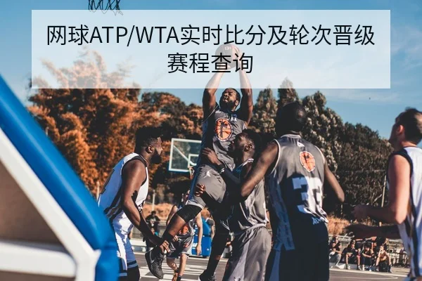 网球ATP/WTA实时比分及轮次晋级赛程查询